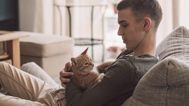 ¿Por qué los gatos maullan más cuando su cuidador es hombre? Un estudio lo revela