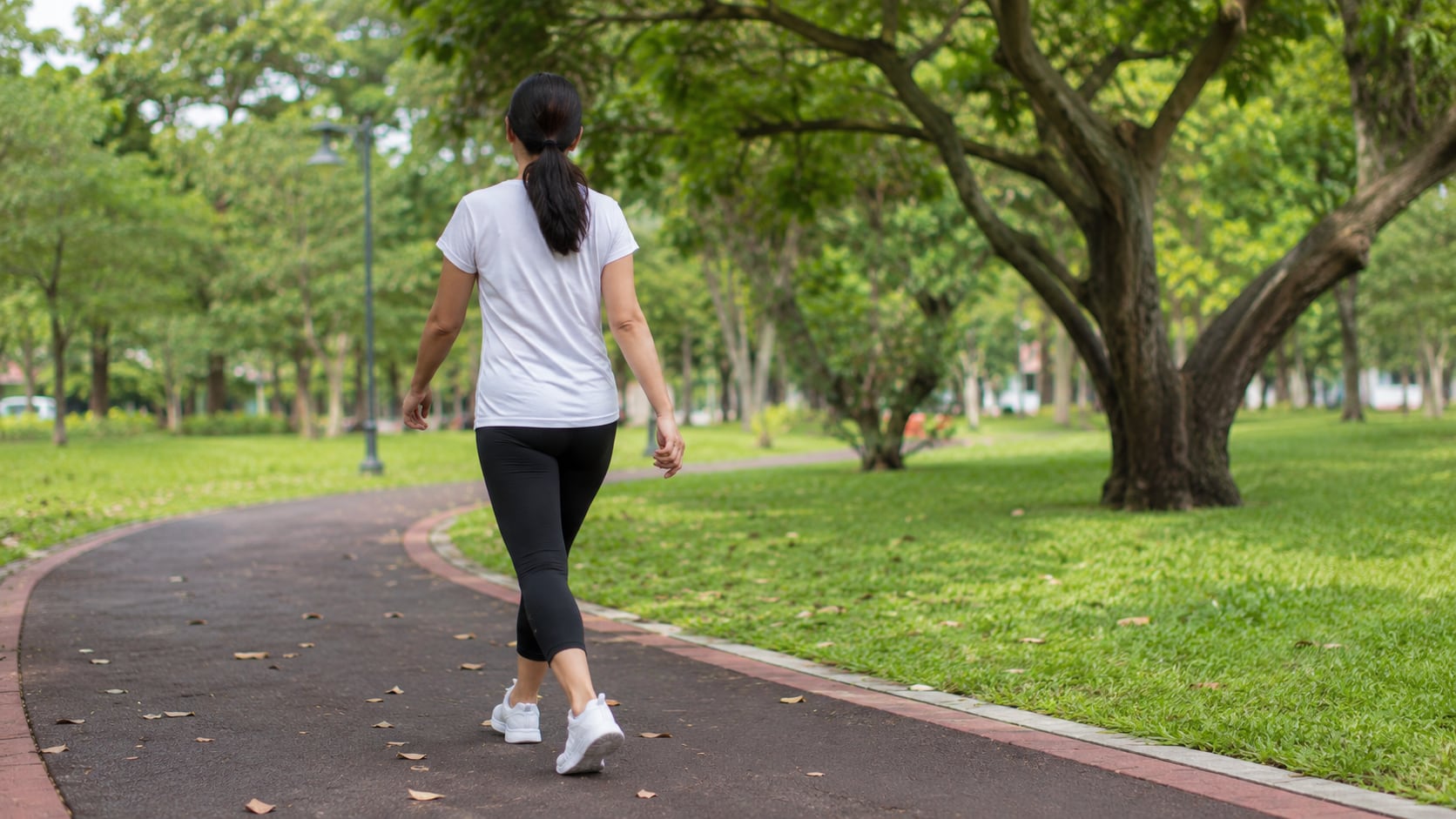 Caminar en reversa mostró beneficios en movilidad, fuerza muscular y reducción del dolor de rodilla según un ensayo clínico.