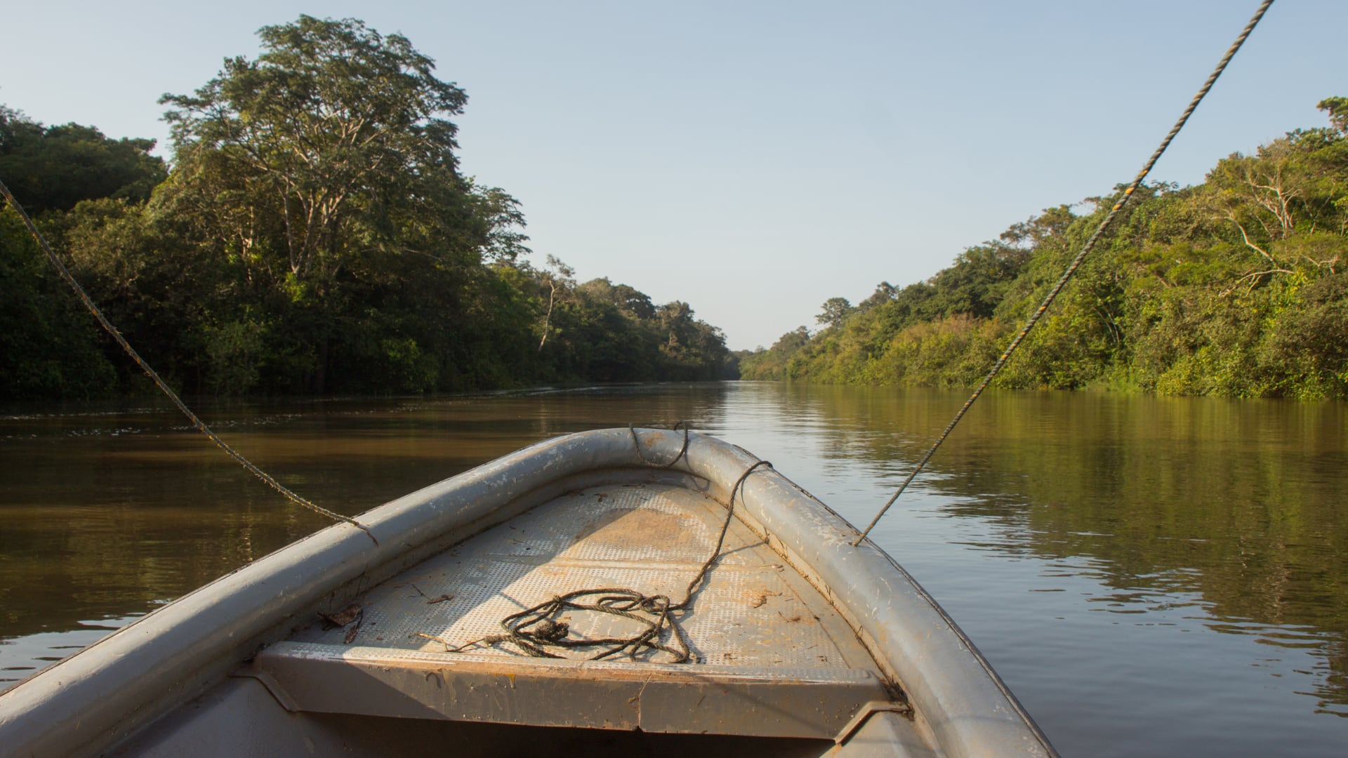 Colombia impulsa el turismo amazónico desde Leticia. El Parque Nacional Natural Amacayacu sobresale por su riqueza en aves y fauna, con acceso aéreo directo desde Bogotá.