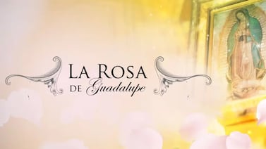 Muere famoso actor de ‘La rosa de Guadalupe’, ‘Como dice el dicho’, ‘El señor de los cielos’ y otras exitosas producciones