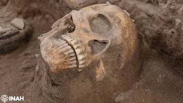 Descubren altar de sacrificios humanos con cráneos en obra ferroviaria en México y revela secretos toltecas: vea el video