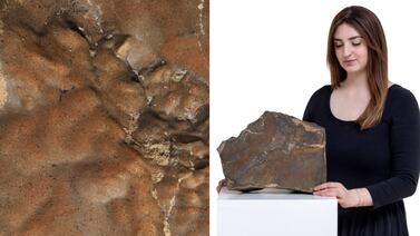 Meteorito procedente de Marte será subastado: se espera que se venda en $4 millones