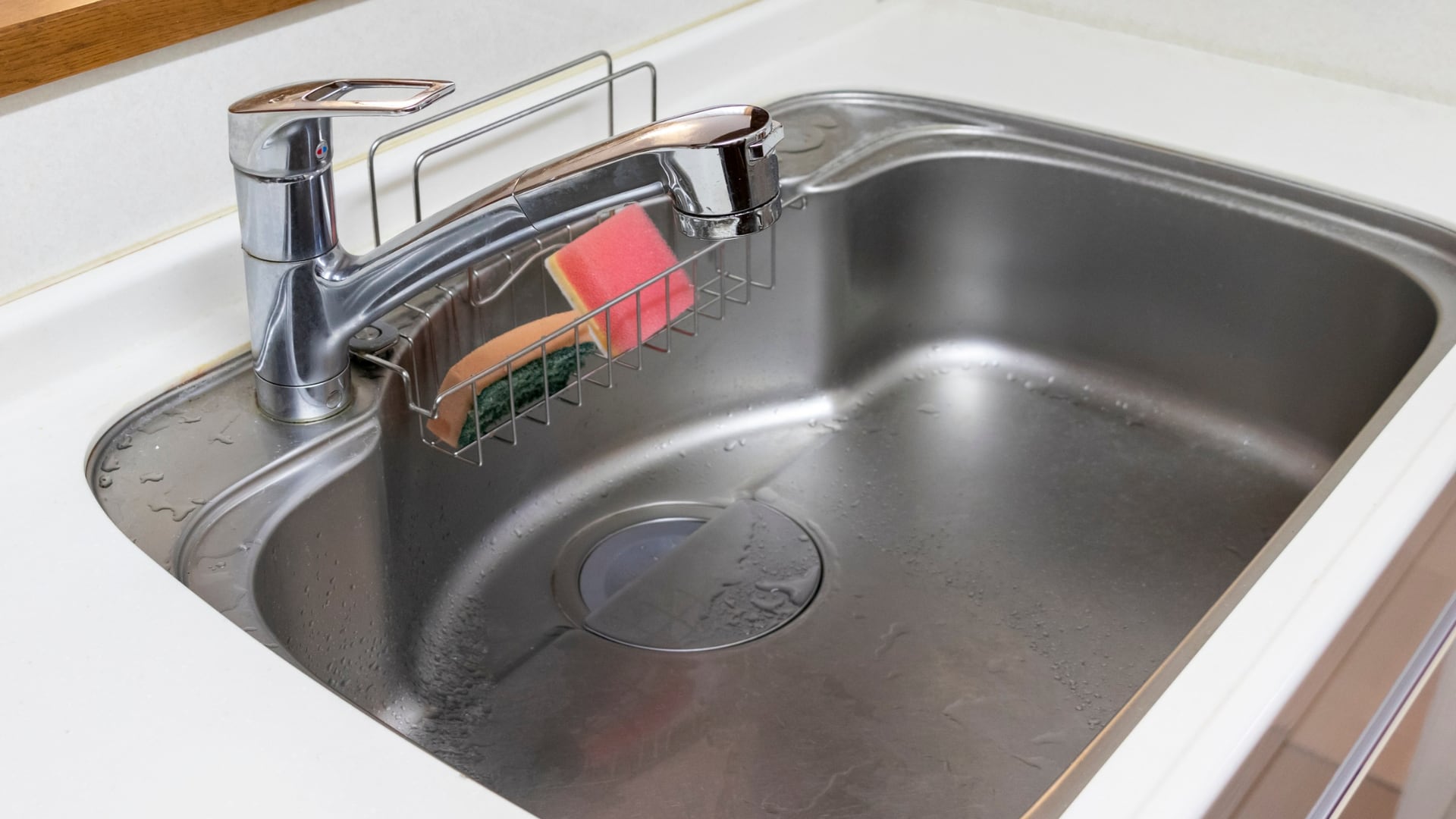 Objetos cotidianos del hogar pueden albergar E. coli y Salmonella. Estas son las recomendaciones para desinfectarlos.