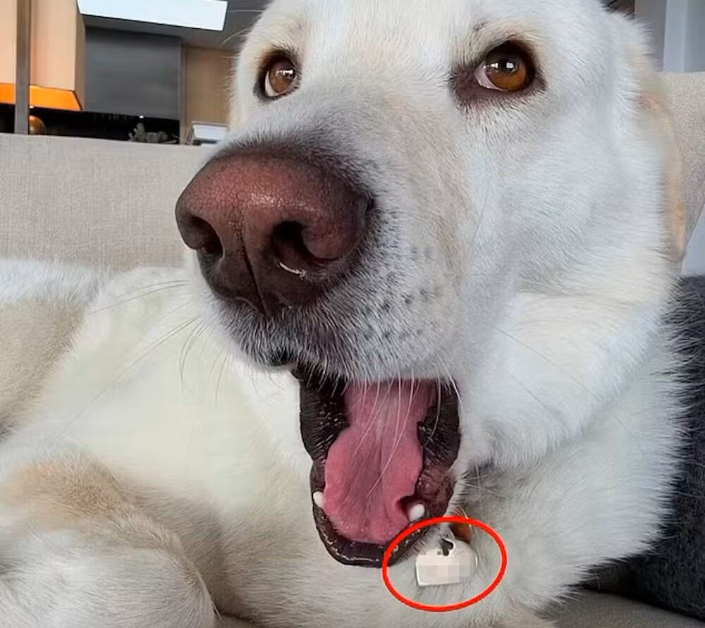 Esta fue la fotografía eliminada de la publicación de Jennifer Aniston