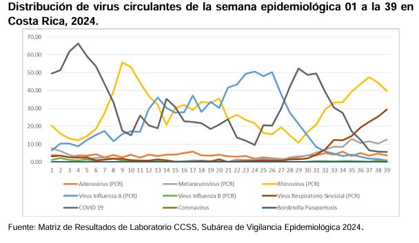 Esta es la distribución de los virus respiratorios en lo que va del año. Los de mayor circulación en este momento son los que más afectan a los niños.
Gráfico: Ministerio de Salud