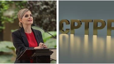 Acuerdo Transpacífico: Exjerarcas de Comex cuestionan revisión anunciada por Laura Fernández