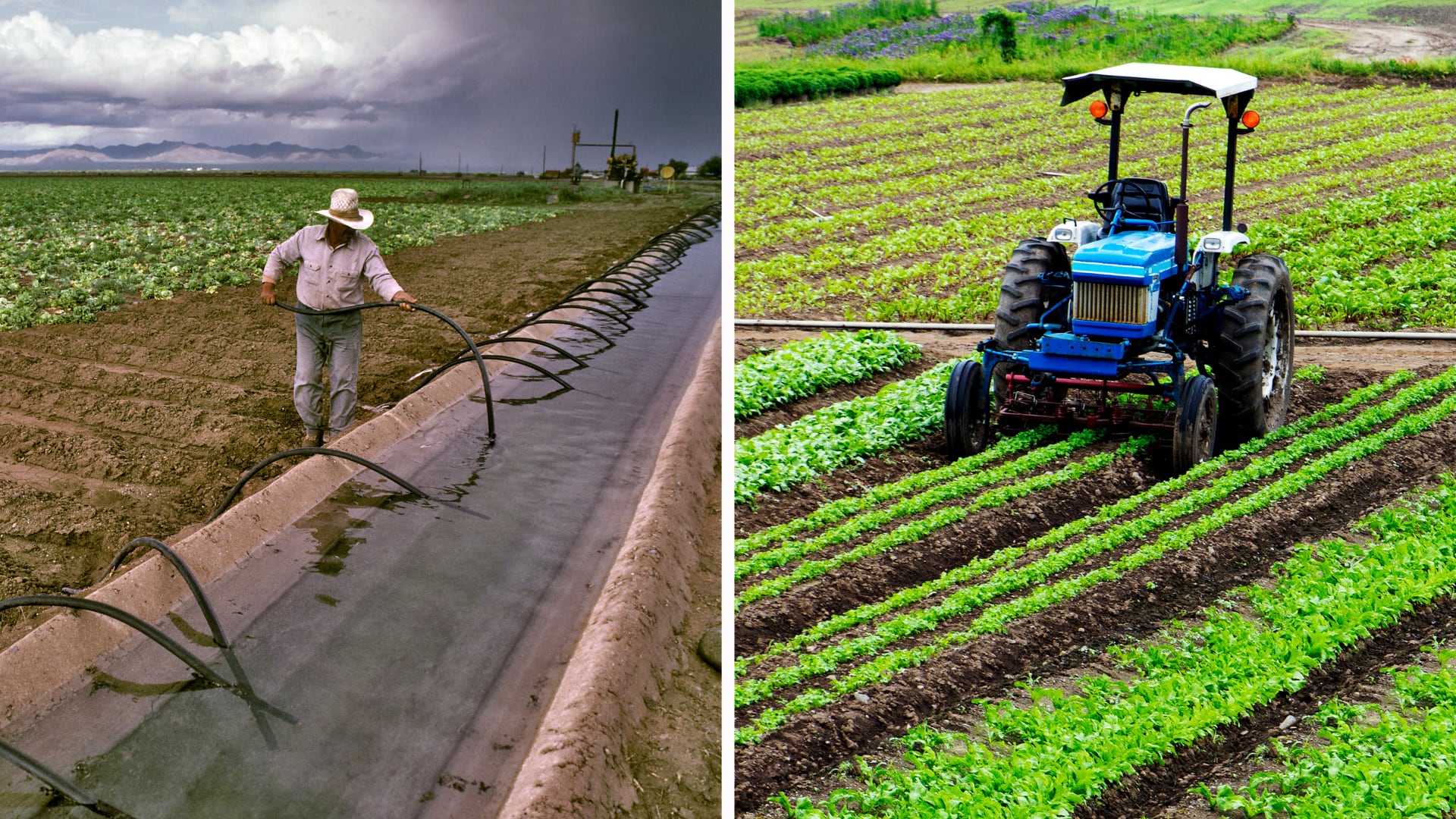 Un agricultor estadounidense rechazó $15 millones por sus tierras y firmó un acuerdo de conservación para impedir centros de datos de inteligencia artificial.