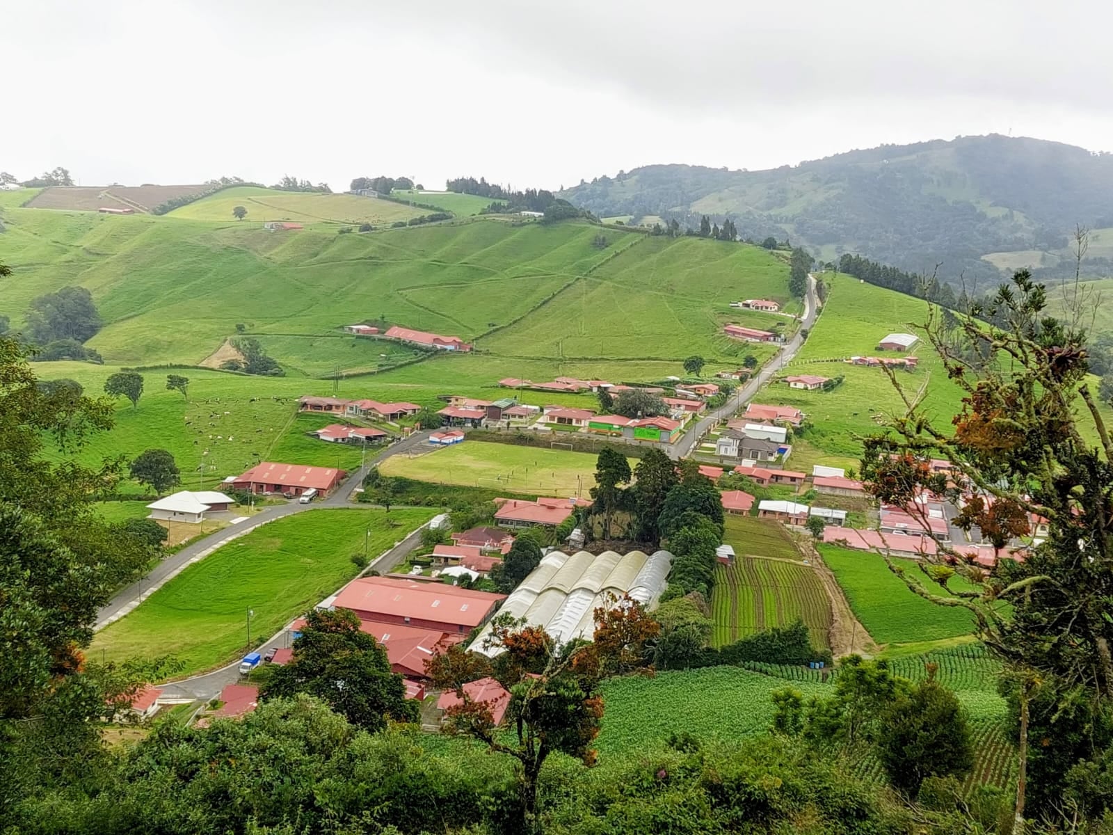 Palmira, Zarcero