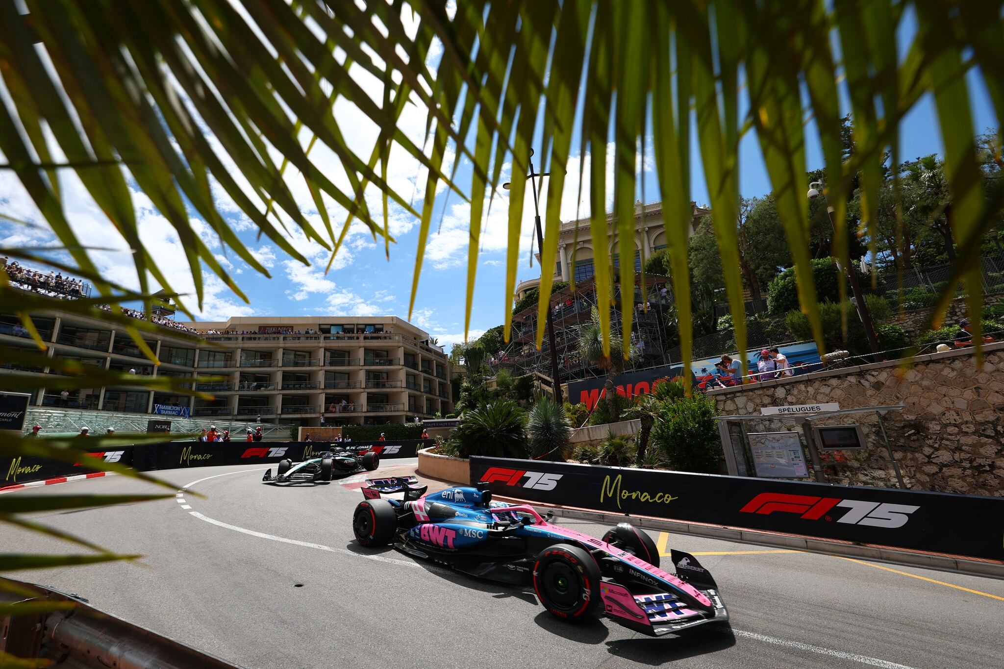 MONTE-CARLO