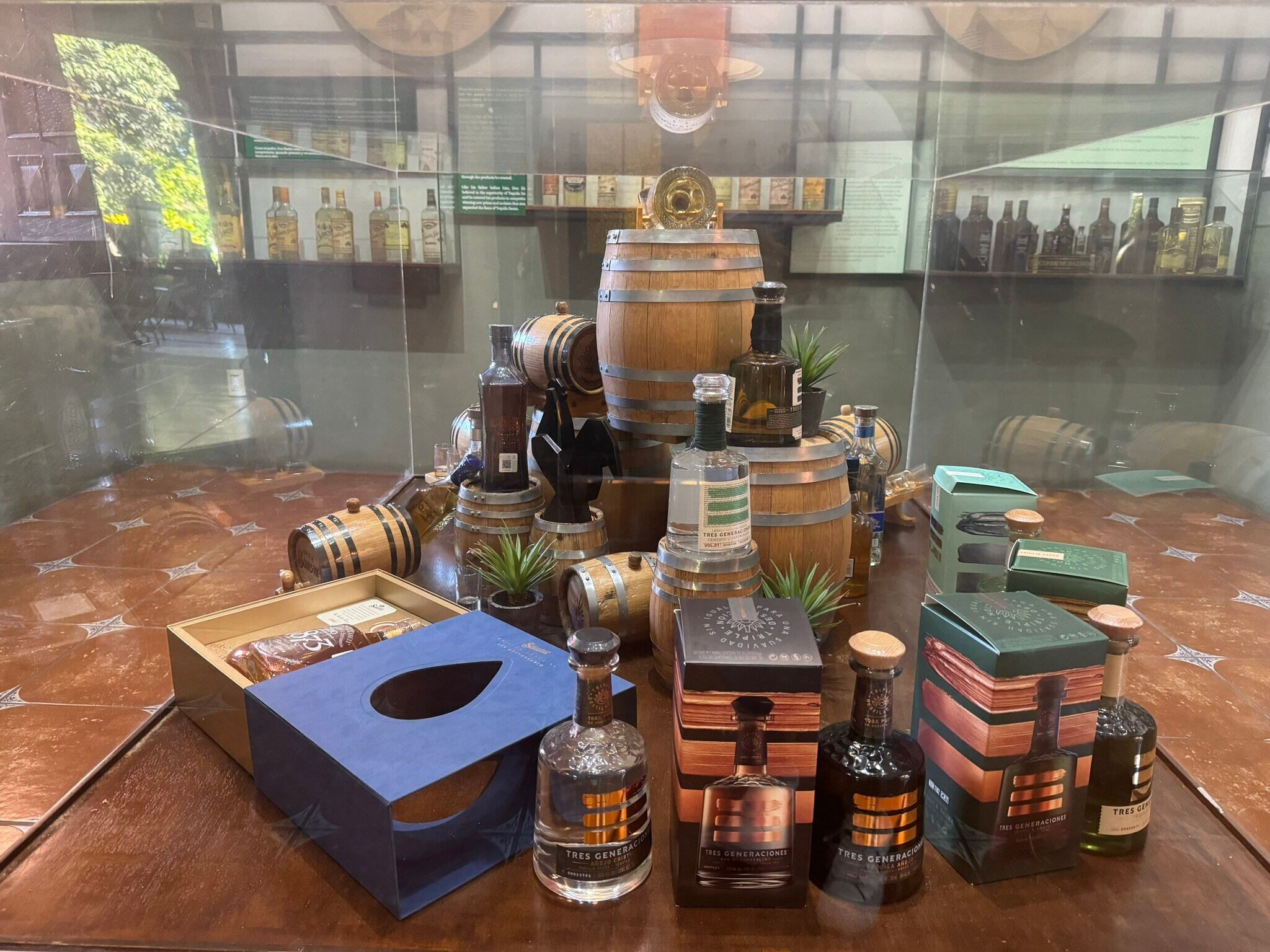 Planta con pinta de peligrosa es la minita de oro del tequila mexicano.