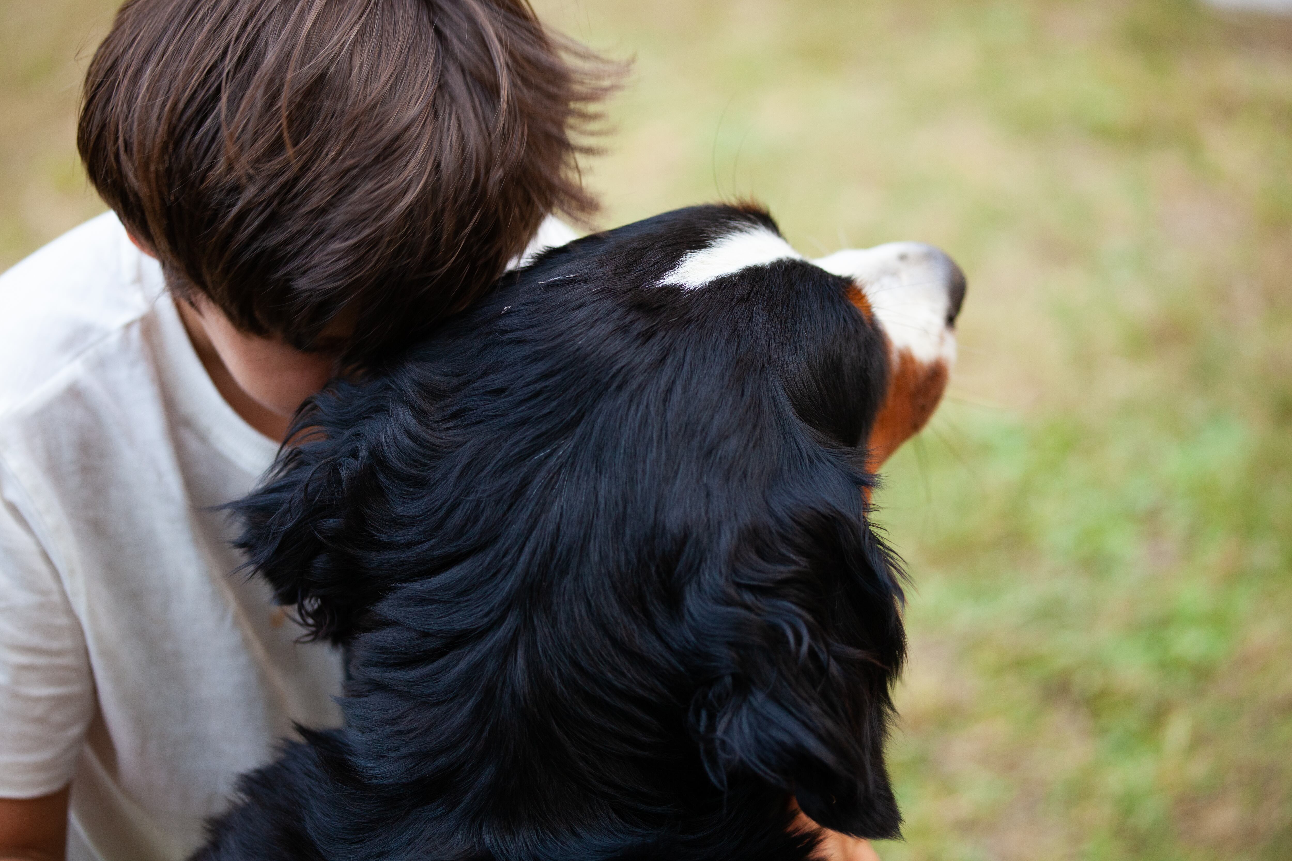 De acuerdo con la Sala Constitucional, el Ministerio debe asegurar al estudiante libertad plena de acudir a lecciones con su perro de asistencia por razones de salud. Fotografía: Shutterstock