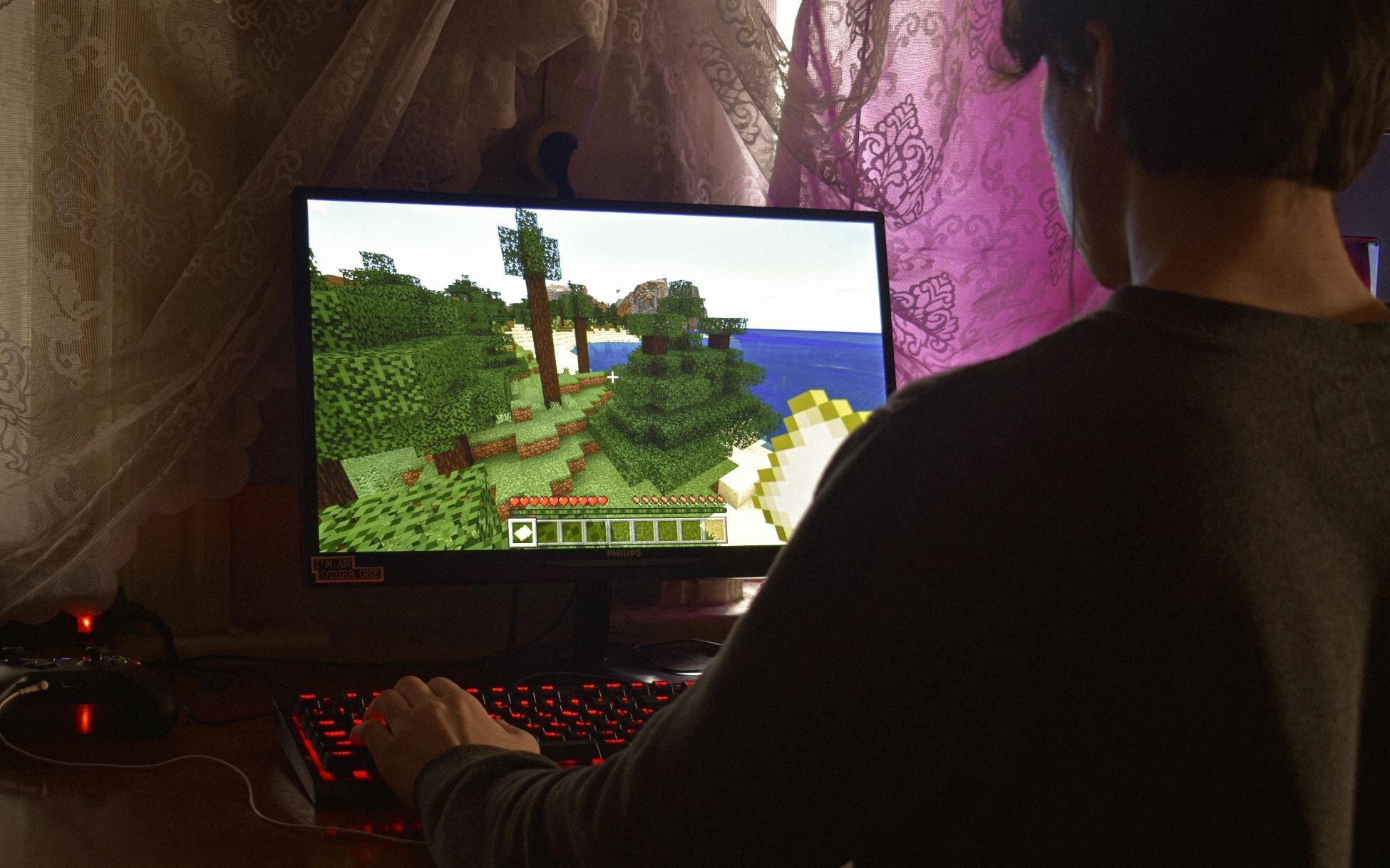 Los videojuegos han buscado promover la conservación del medio ambiente.Foto: Alexander Kovalev/Pexels.