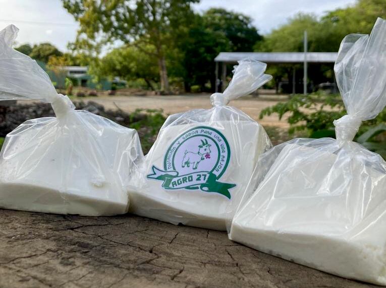 Proyecto estudiantes con cabras IICA