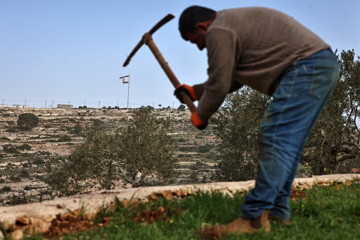 Un hombre palestino trabaja su tierra en la aldea de Umm Safa, al norte de Ramala, en la Cisjordania ocupada, frente a una bandera israelí izada en una colina que domina la aldea, el 16 de febrero. El Gobierno de Israel aprobó un proceso para registrar tierras en Cisjordania como “propiedad estatal”.