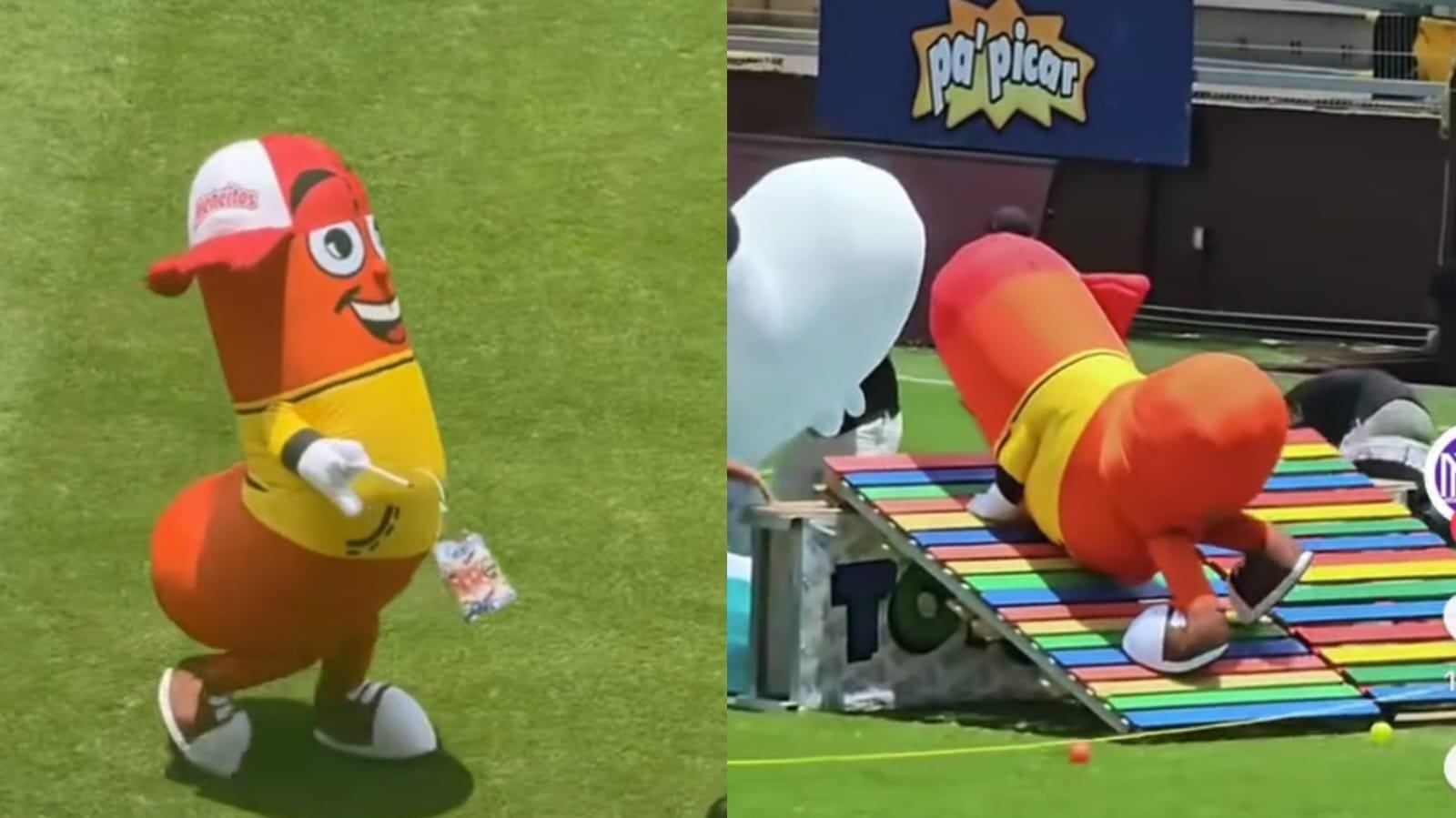 Meneito carrera de botargas Saprissa