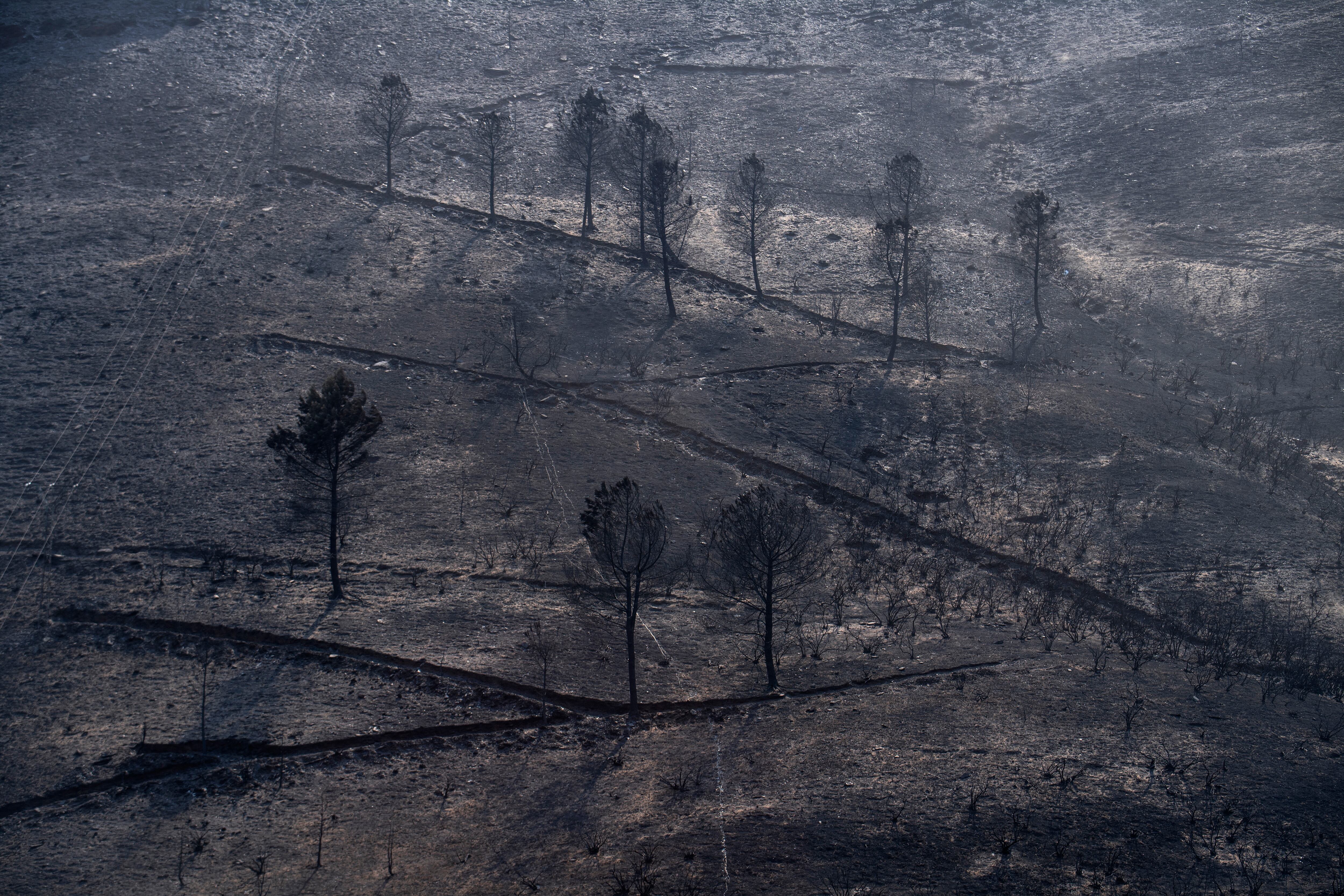 Zona quemada tras un incendio forestal el martes en San Vicente de Leira, localidad del noroeste de España, en la provincia de Ourense. Fotografía:
