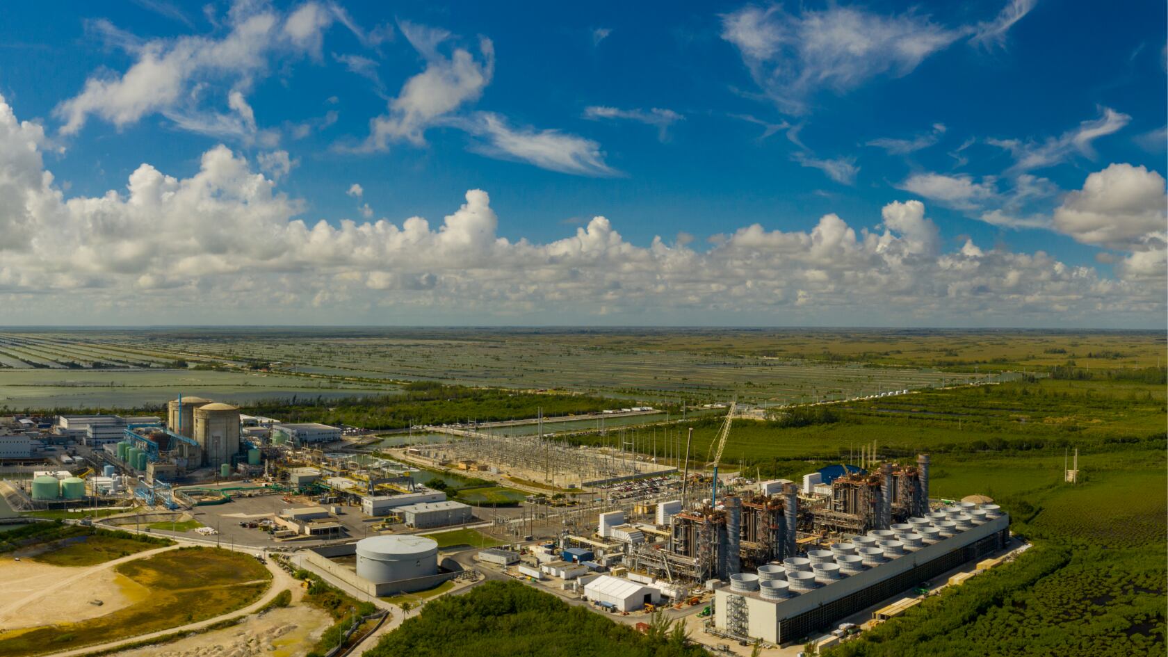 Una central energética en Florida alberga cientos de cocodrilos en un ambiente controlado, sin contacto con materiales radioactivos. Imagen ilustrativa.
