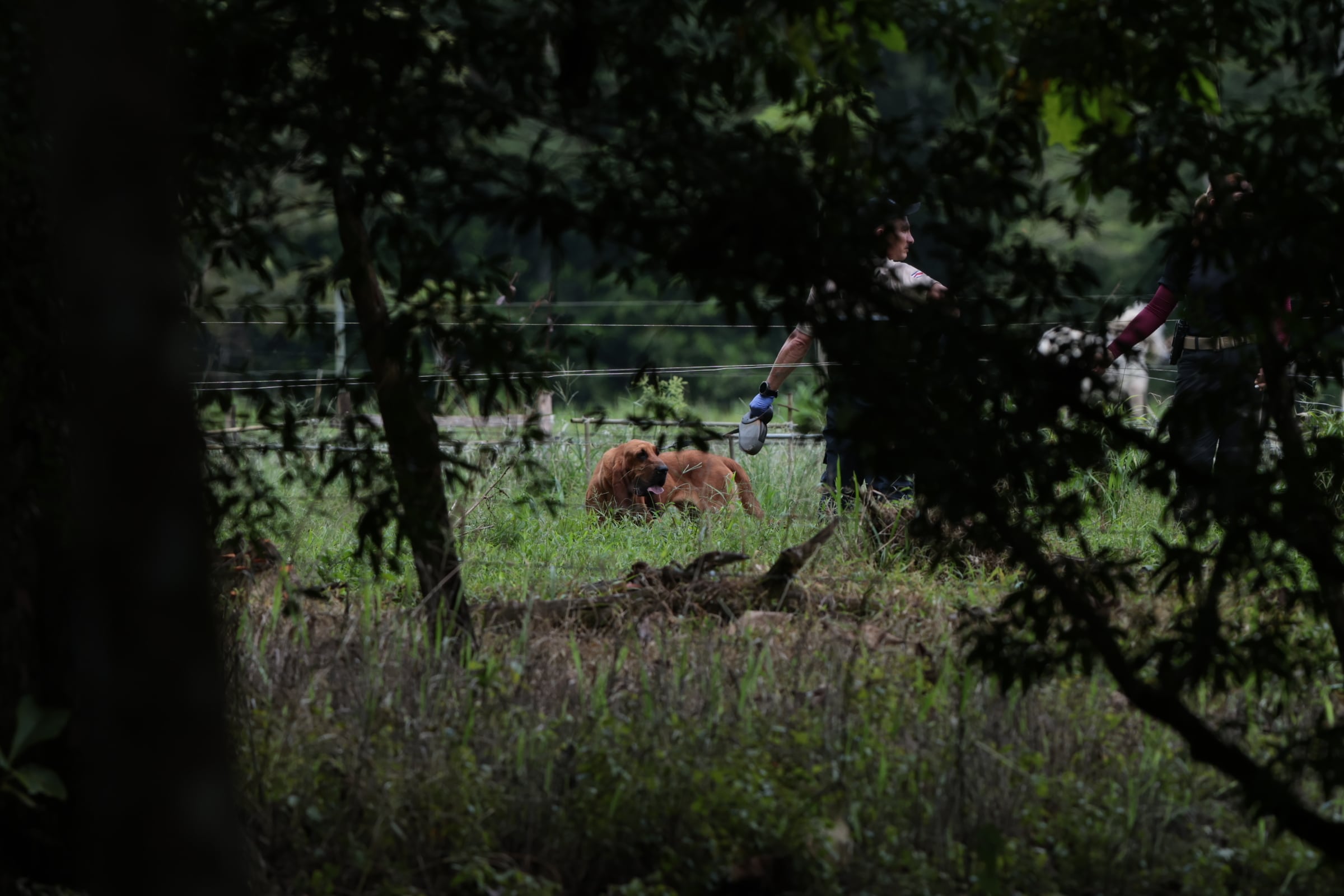 14/10/2025/ Allanamiento caso Ligia Faerron en San Carlos / foto John Durán