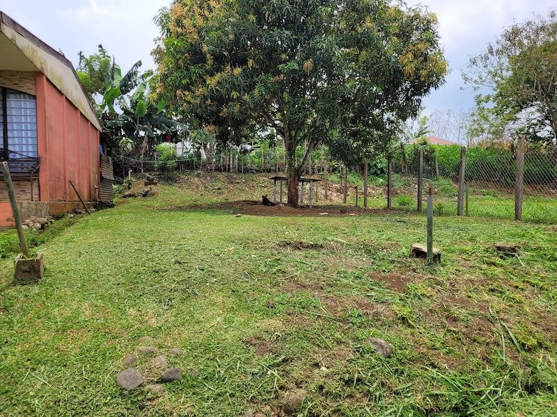 Lote de 175 m² en Aguas Zarcas, San Carlos, cuesta ¢3.968.000. Tiene topografía plana y acceso a servicios públicos. Solo se vende de contado. Código de propiedad: 80186309.