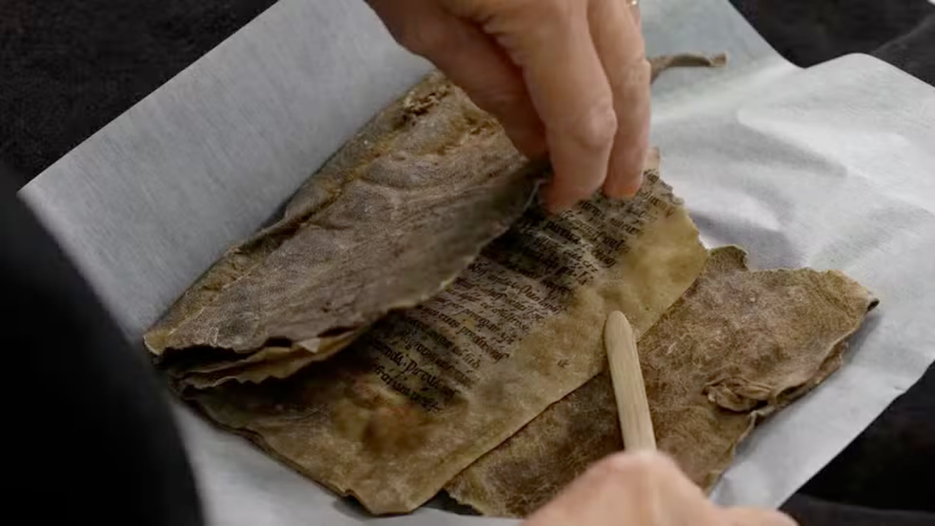 Conservadores analizan raro manuscrito medieval que podría confirmar su origen noruego mediante pruebas de ADN en pieles de animales