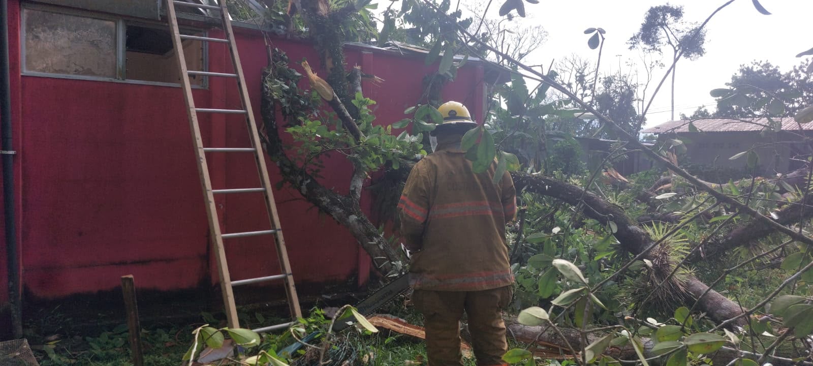 Un árbol cayó sobre una vivienda habitada por dos personas y también afectó el tendido eléctrico en Upala