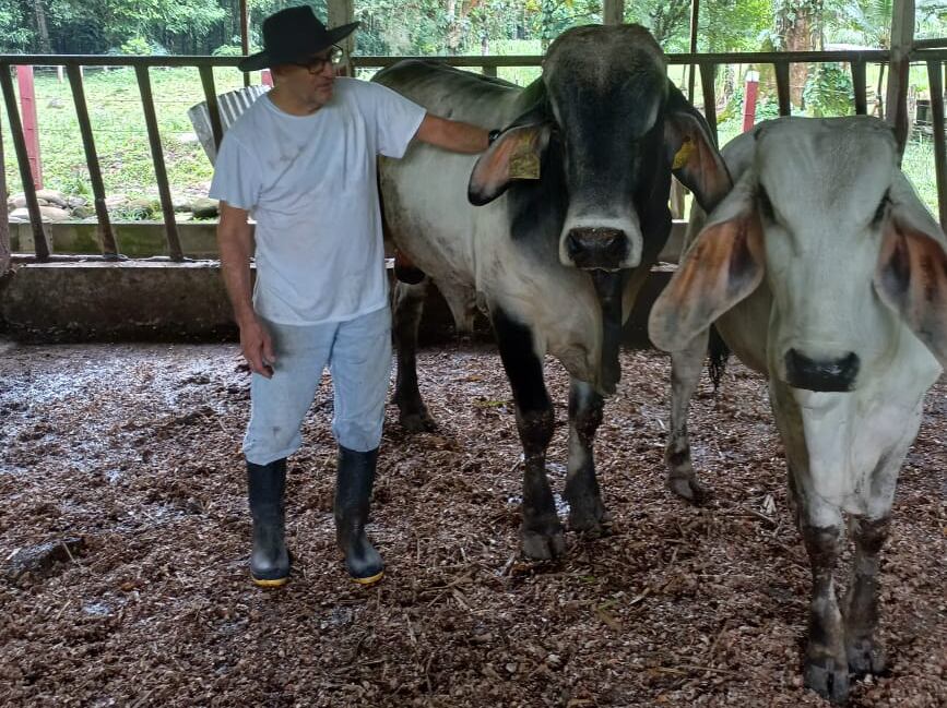 Danilo Montero director ejecutivo de la OFC