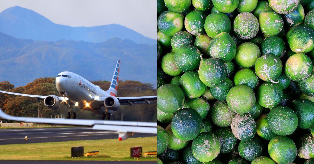 En la imagen, un avión despegando y limones ácidos