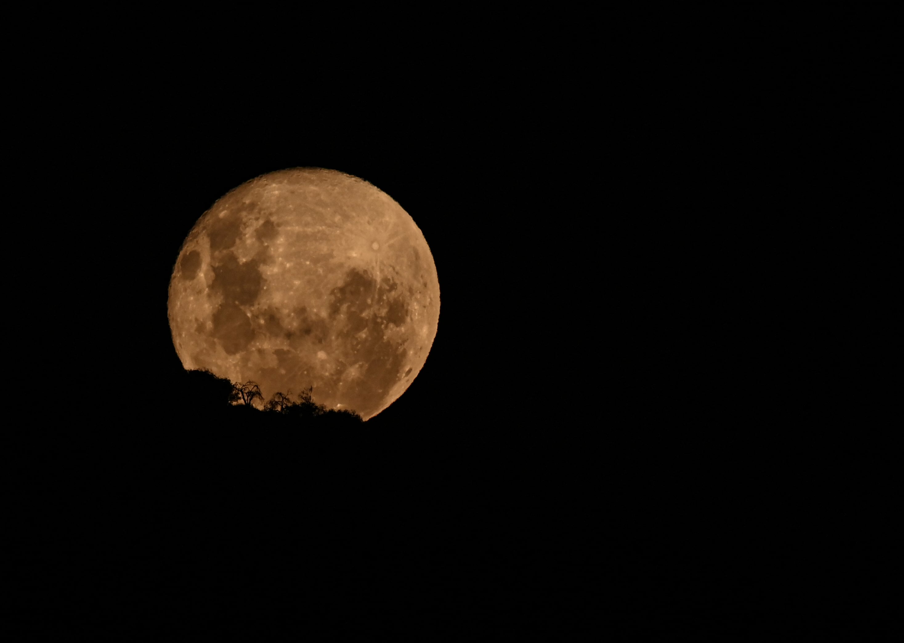 La 'Luna Rosa' marcará una de las lunas llenas más conocidas del año.