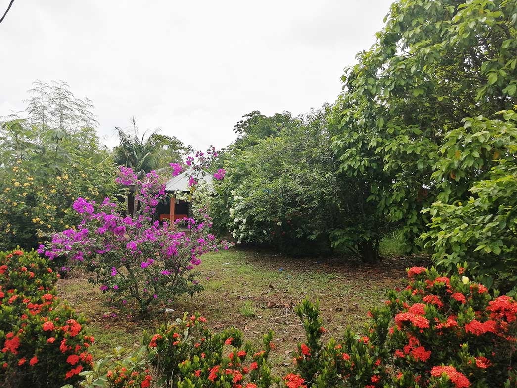 Imagen de una casa en venta en Parrita, Puntarenas, con un descuento del 60%, ubicada en Jicote, 1 km oeste del Proyecto Reformadores.