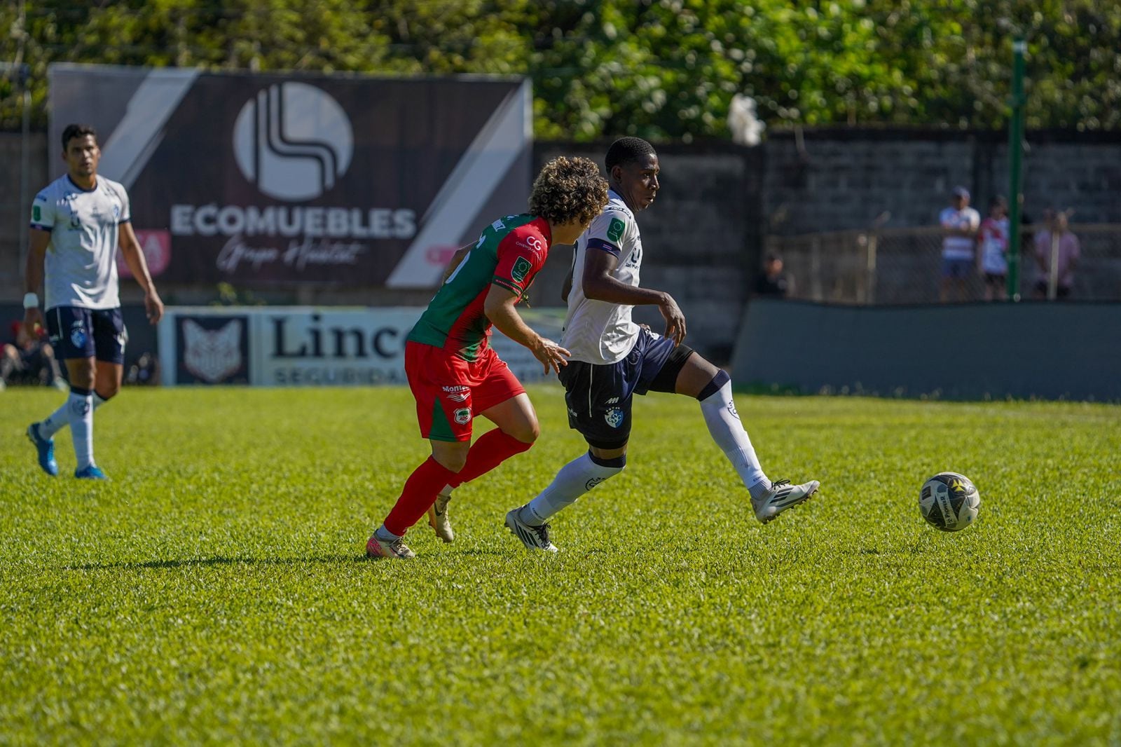 El Club Sport Cartaginés visitó a la Asociación Deportiva Guanacasteca se enfrentaron en la fecha ocho del Torneo de Clausura 2025, este 9 de febrero.