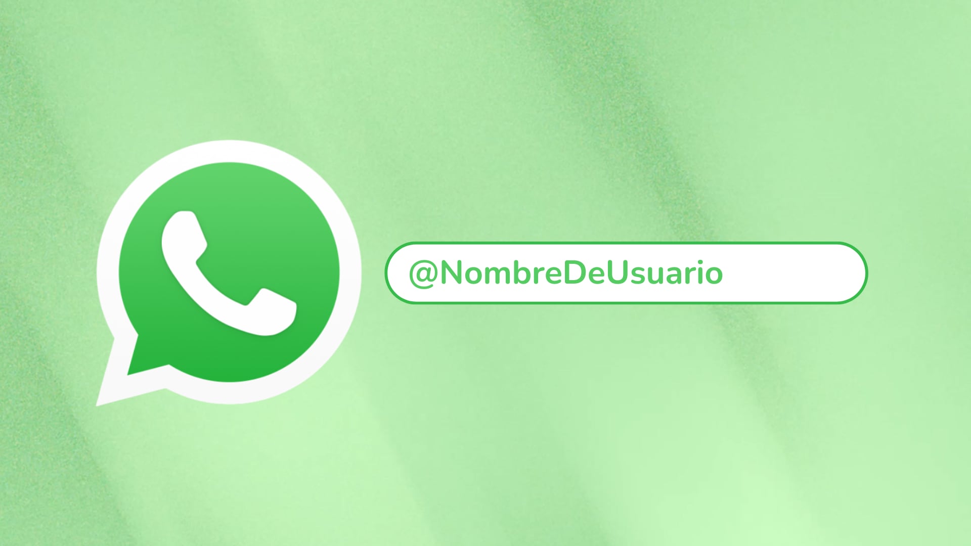 WhatsApp habilita nombres de usuario en fase de prueba. La función busca mejorar privacidad y facilitar contactos sin usar el número.