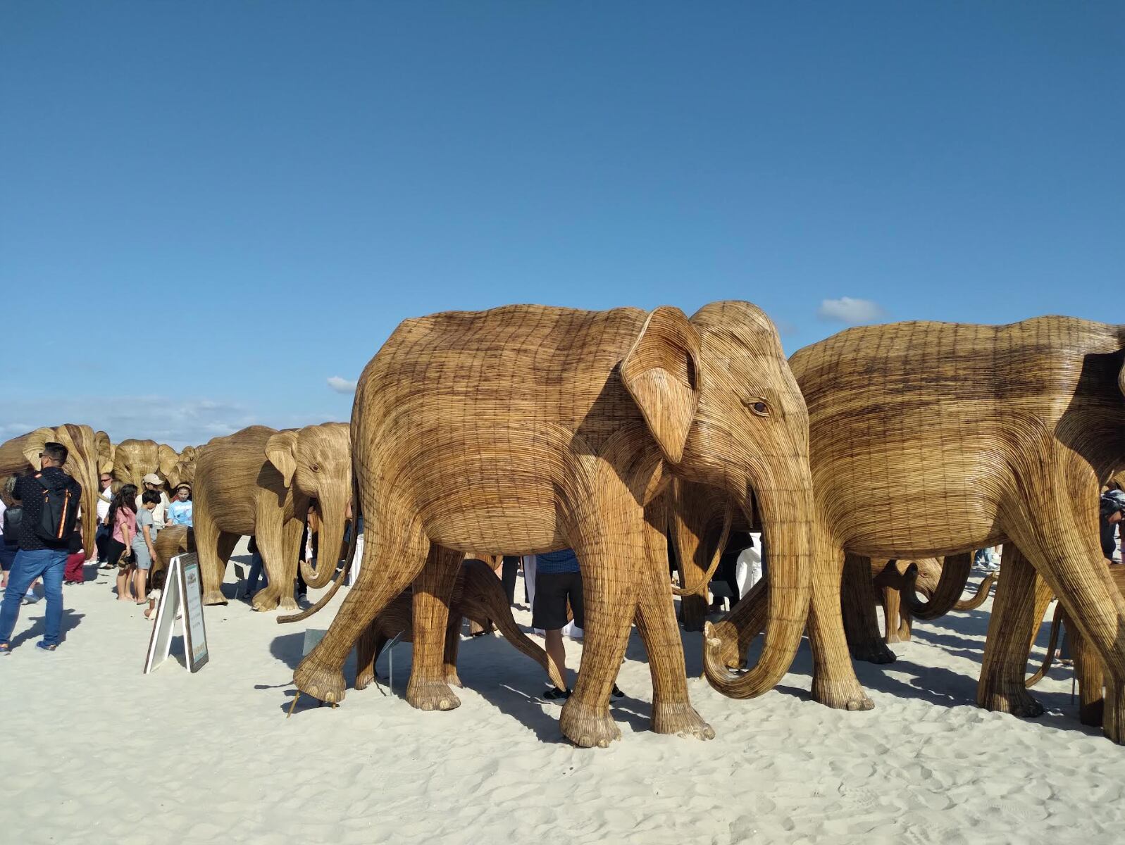 Esculturas de elefantes talladas en madera, parte de la instalación artística "Gran migración de elefantes" en Miami Beach con un mensaje ambientalista.