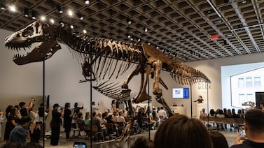 Venta récord de T. rex por $50,1 millones genera preocupación entre paleontólogos