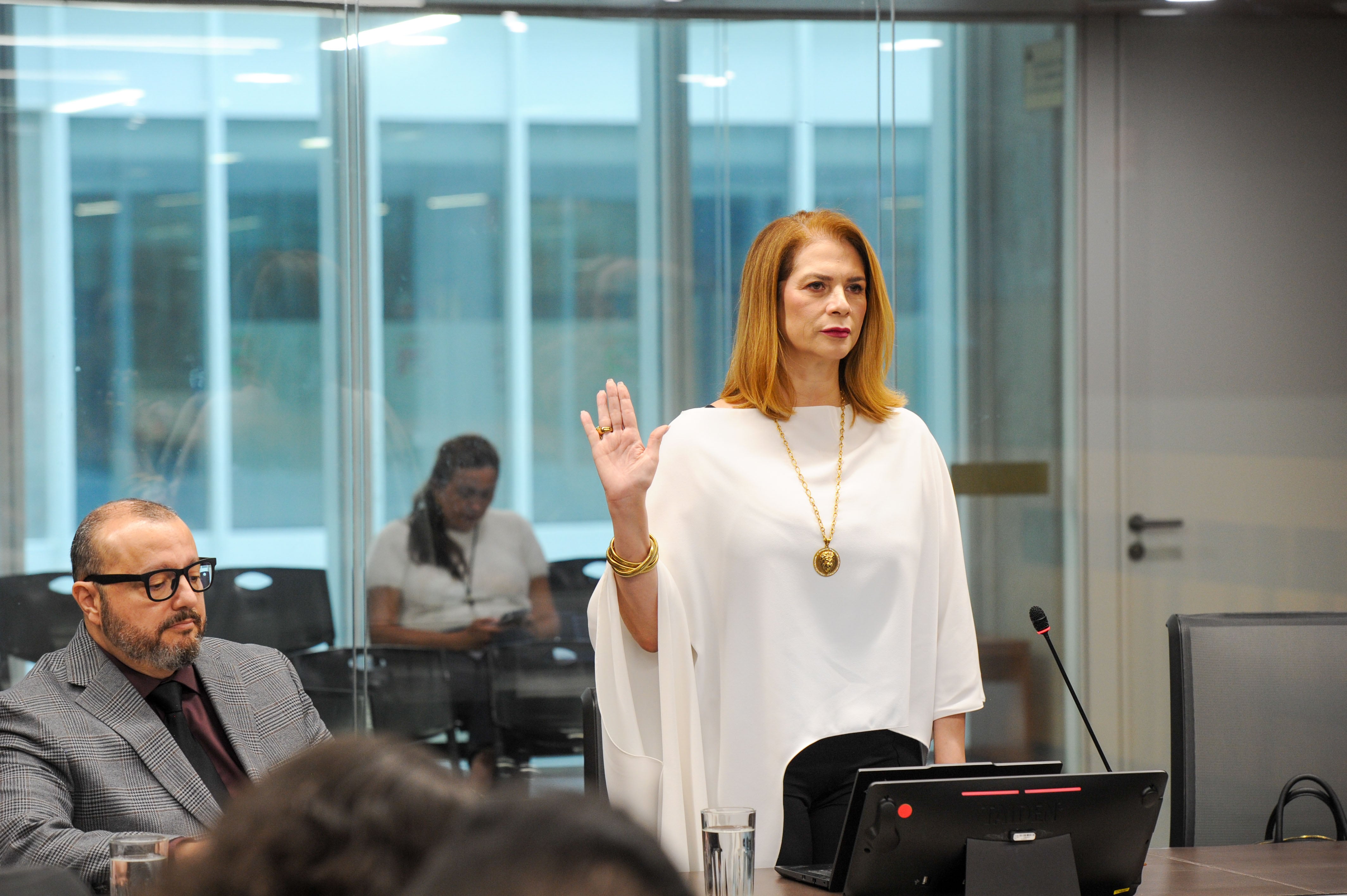 Comisión, comparecencia de Mónica Araya Esquivel.