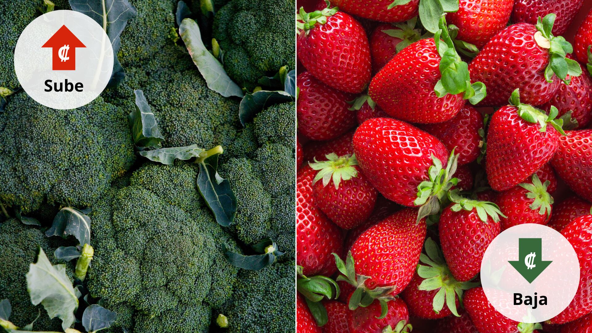 Cambios en los precios de la Feria del Agricultor este fin de semana: suben brócoli y tomate, bajan vainica y pepino, mientras otros productos se mantienen estables.