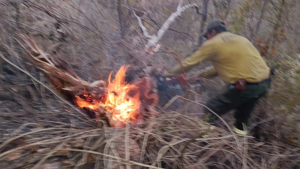 Brigadas del Cuerpo de Bomberos de Costa Rica y personal del Ministerio de Ambiente y Energía trabajan en el control de varios focos activos en zonas rurales de Guanacaste, donde las condiciones secas favorecen la propagación del fuego.