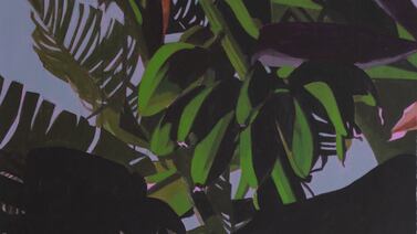 Moisés Barrios pinta un paraíso de volcanes y bananos