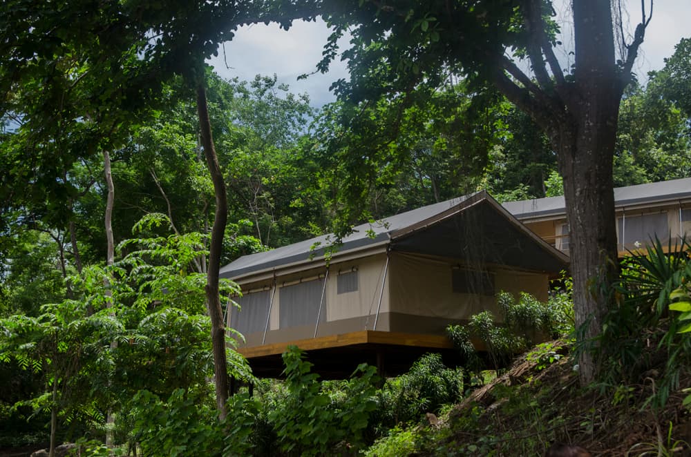 Las tiendas de campaña, el único tipo de habitación que ofrece Isla Chiquita, cuenta con una cama matrimonial King Size y un baño con ducha con agua caliente. Las tiendas miden alrededor de 35 m2., y tiene una amplia terraza para pasar el rato.