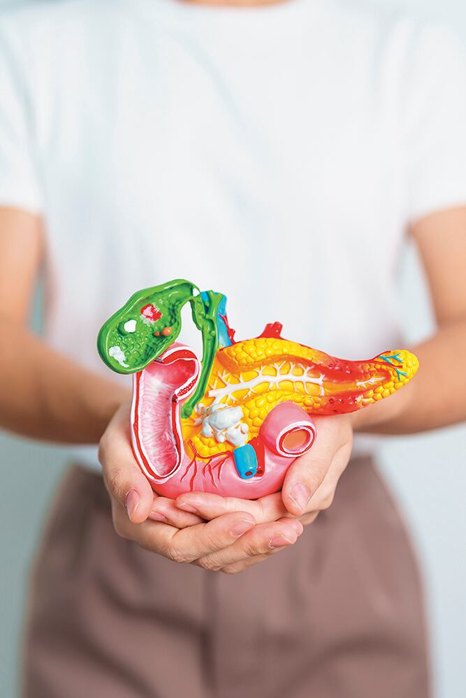 Perfil 786 febrero 2024