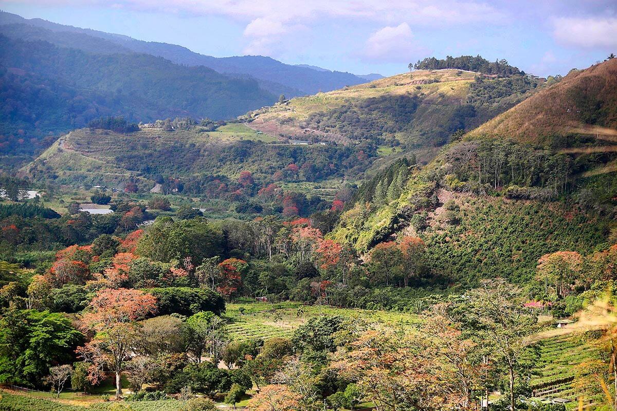 Cielos despejados y poco viento generan altas temperaturas en el territorio. El IMN prevé que este lunes y martes el termómetro sume al menos 3 grados Celsius al promedio de la semana pasada. Foto: Rafael Pacheco.
