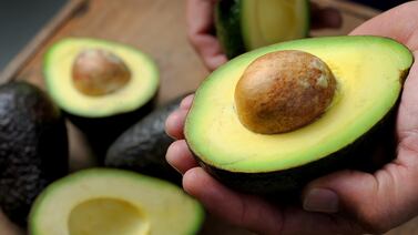 Joven creció entre aguacates y terminó creando algo a lo que muchos no le veían sentido