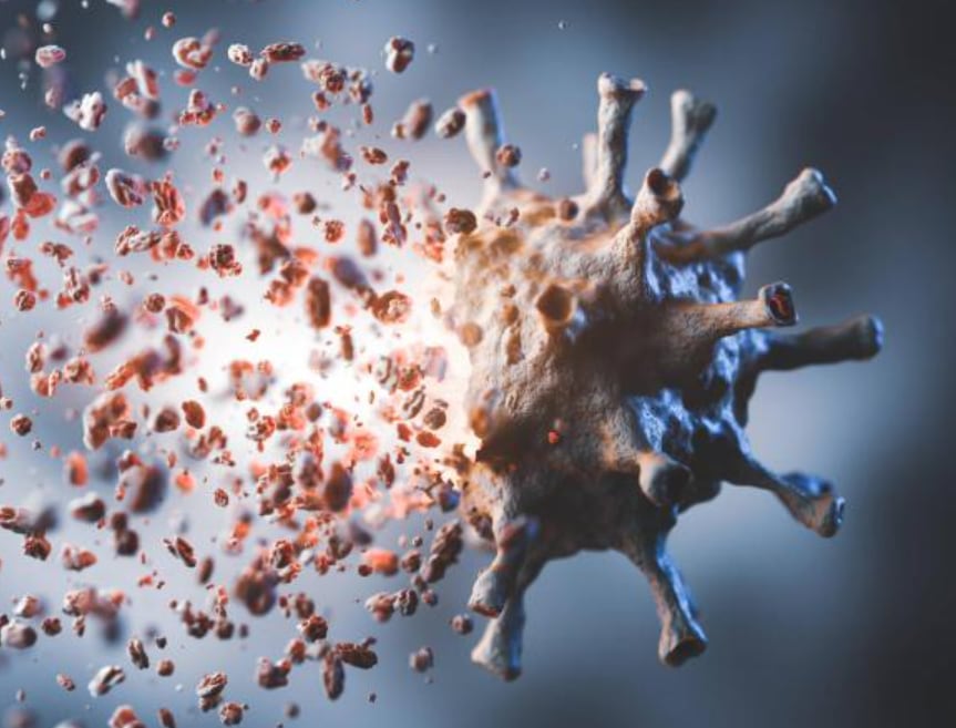 Se habrían sustraído 24 cepas virales clasificadas bajo el Nivel de Bioseguridad 3.