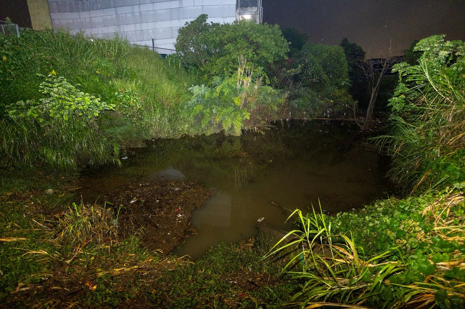 La Quebrada Los Negritos regresó a su cauce.