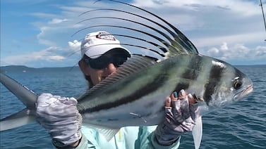 ¿Cuánto aporta la pesca turística a Costa Rica? Repasamos el sector