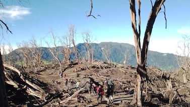 Ingreso clandestino a zonas protegidas, un reto para el Sinac