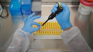 Laboratorio ruso en Siberia en alerta tras la muerte de una investigadora por neumonía desconocida