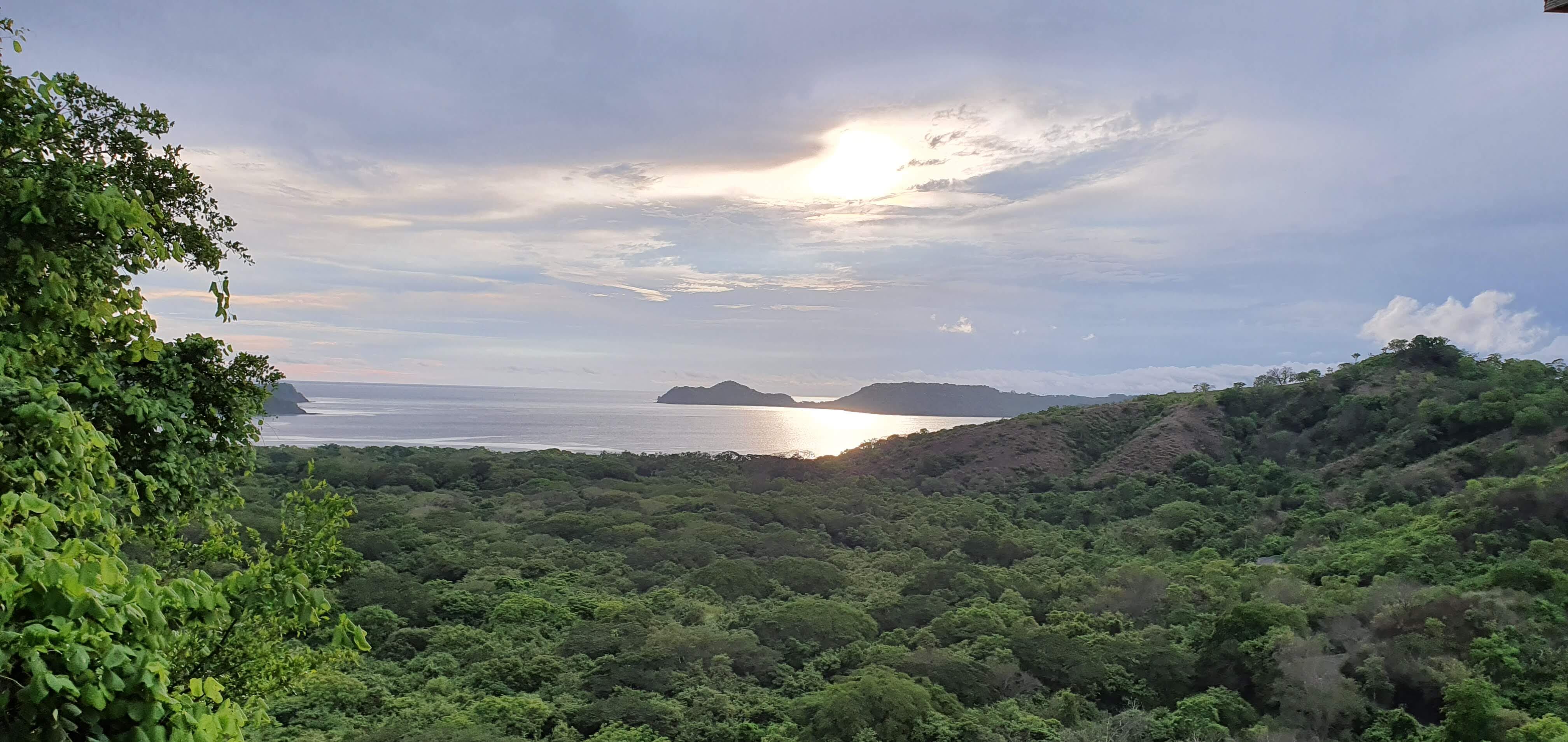 Vista de zona boscosa en el sector de Playa Panamá en el Golfo de Papagayo en Liberia, Guanacaste. Fotografía: