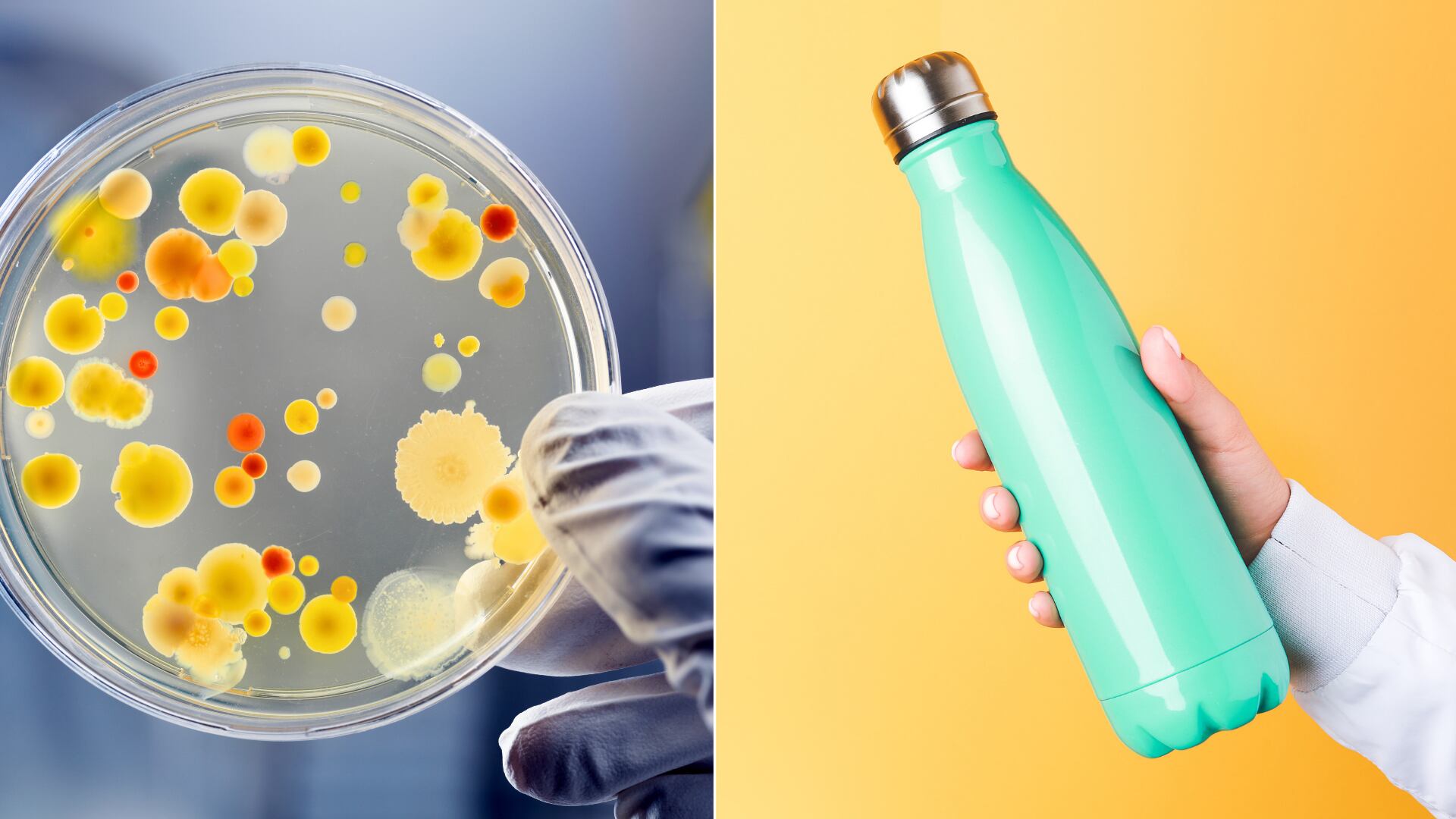 Estudios indican que botellas de agua sin lavar pueden contener millones de bacterias, superando por mucho la suciedad de un inodoro.