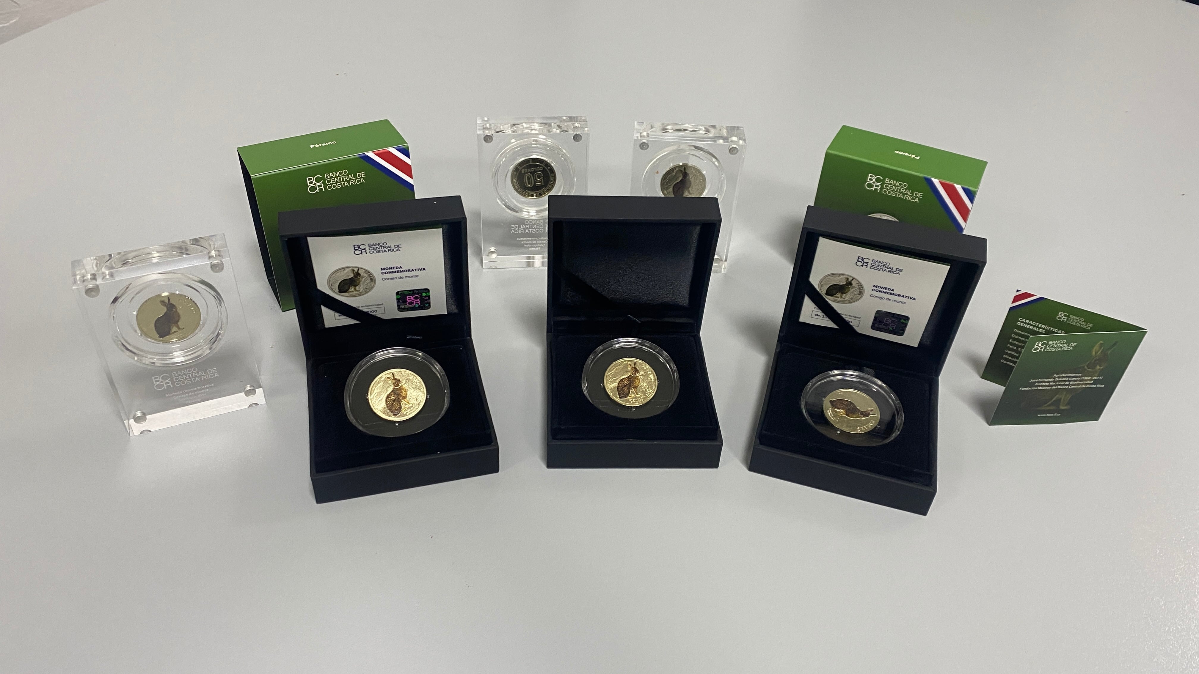 Moneda de ¢50 del conejo de monte saldrá en dos presentaciones de colección, con límite de una por persona y plazo de retiro en la Oficina Principal del Banco Nacional.