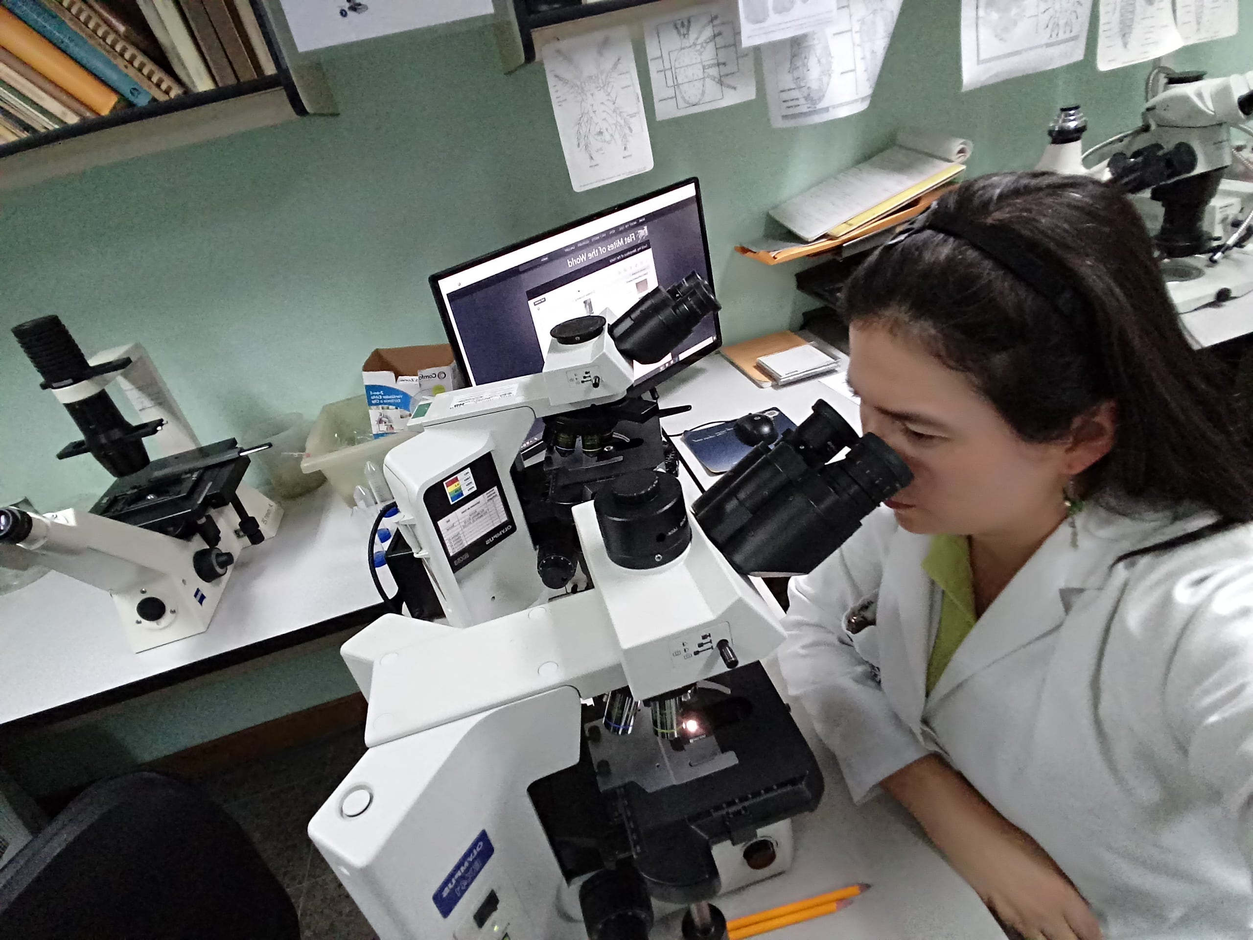 Profesional observa muestras en microscopio en laboratorio sanitario, relacionado con servicios de Senasa y SFE y la reducción de tarifas en el sector agropecuario de Costa Rica.